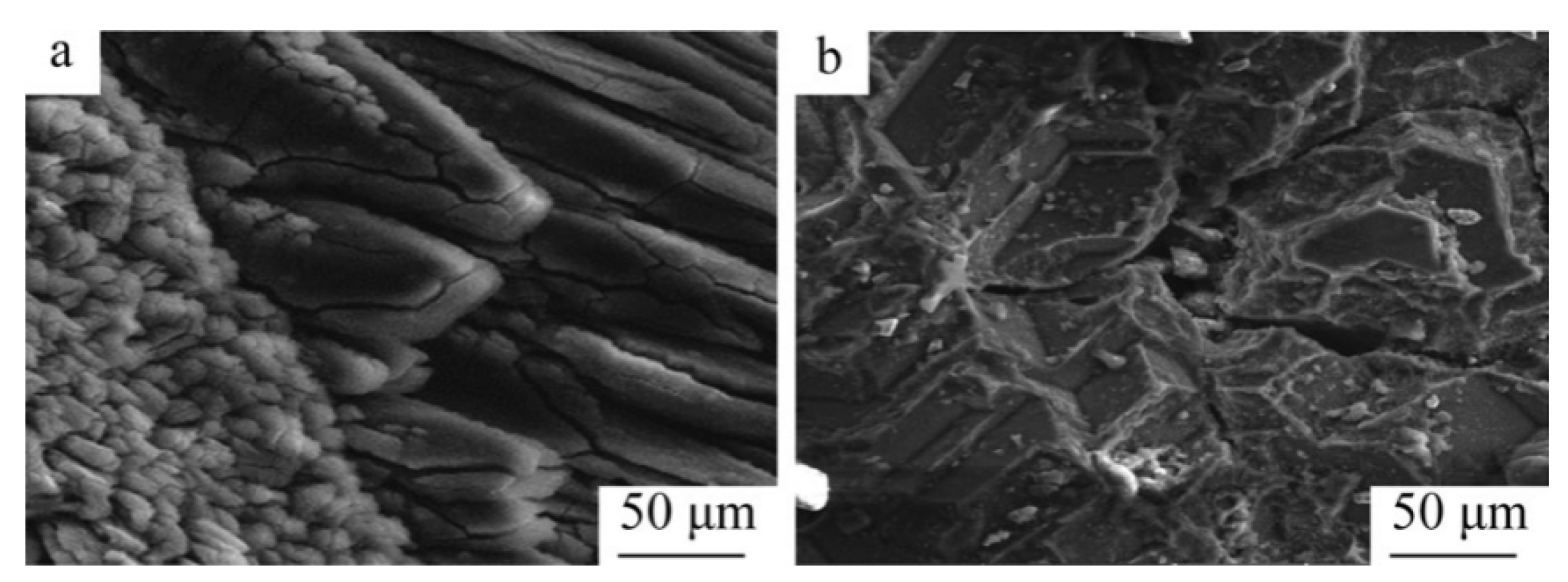 Materials 16 03340 g012