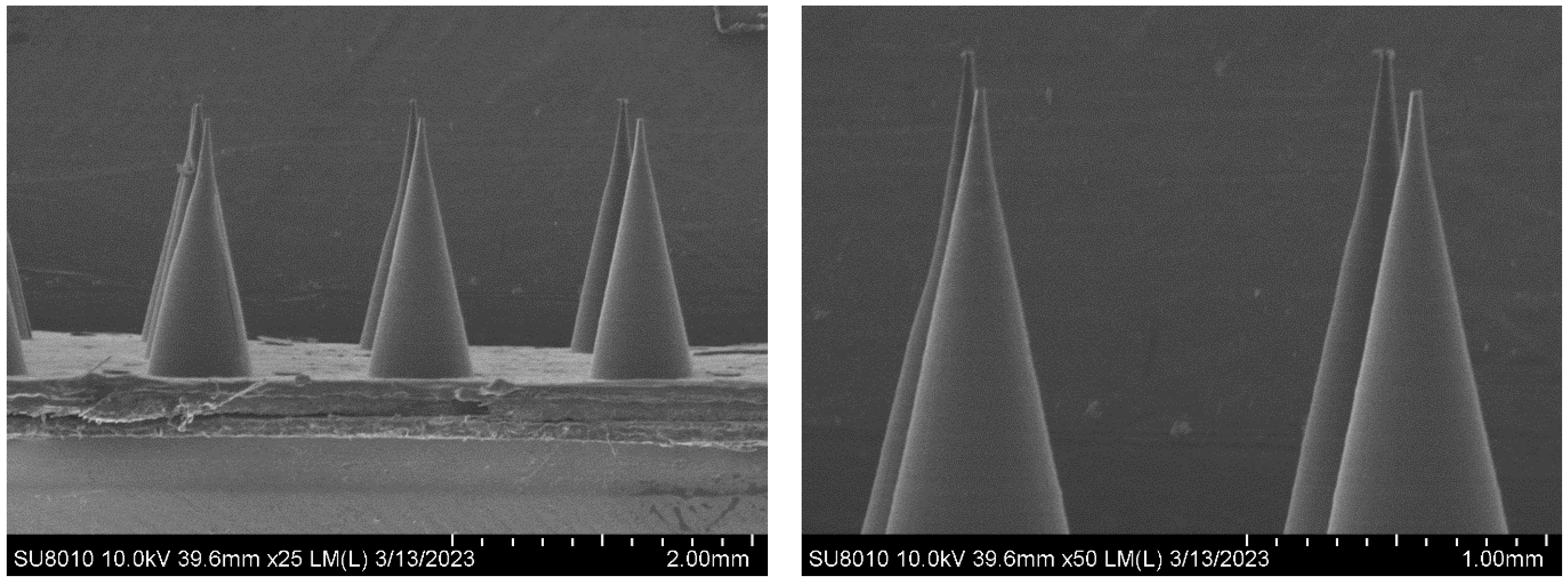 Materials 16 03417 g002