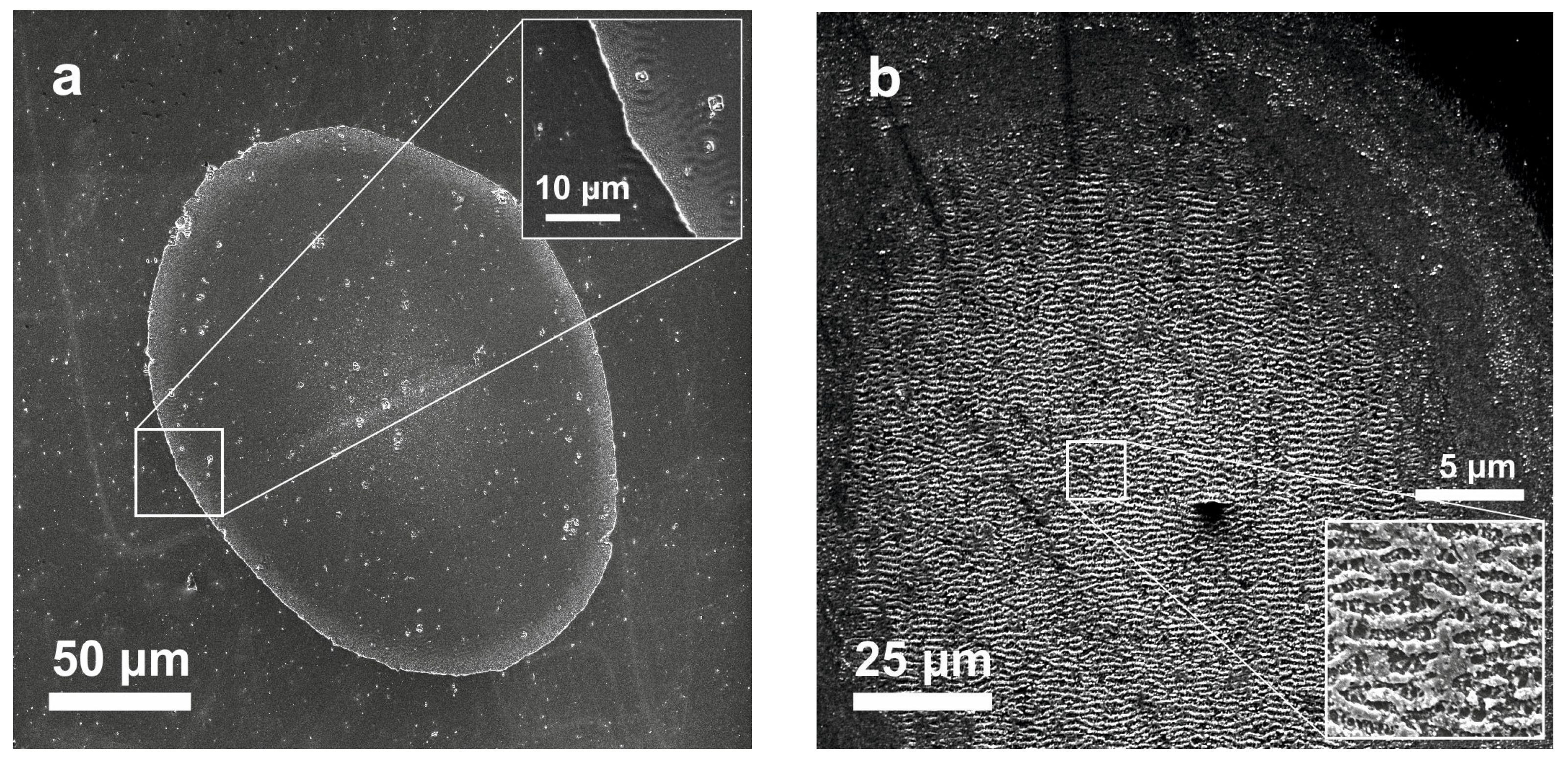 Materials 16 03572 g003 Materials 16 03572 g003