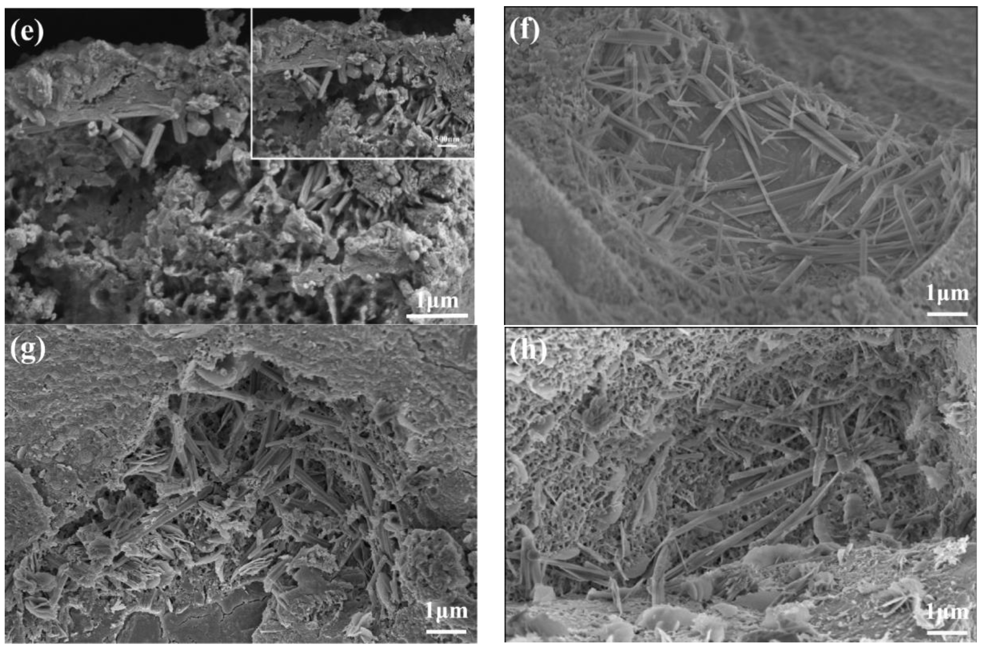 Materials 16 03581 g017b Materials 16 03581 g017b