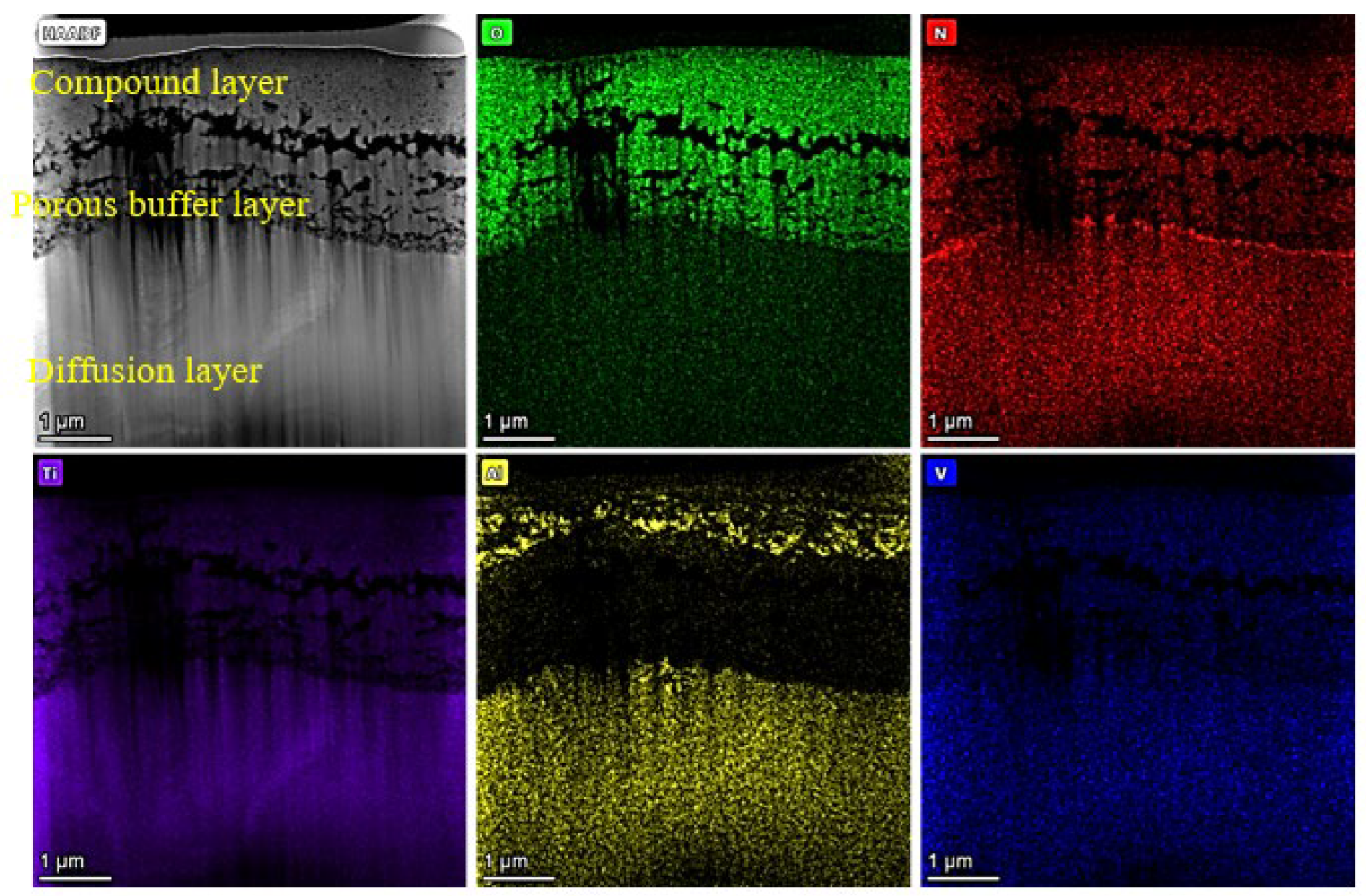 Materials 16 03609 g004