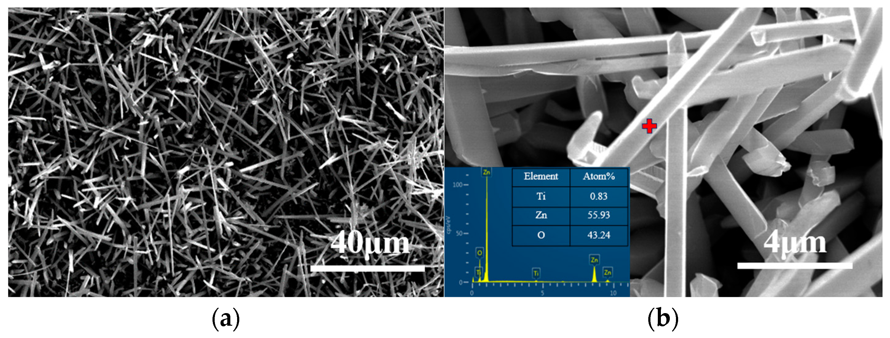 Materials 16 03610 g007 Materials 16 03610 g007