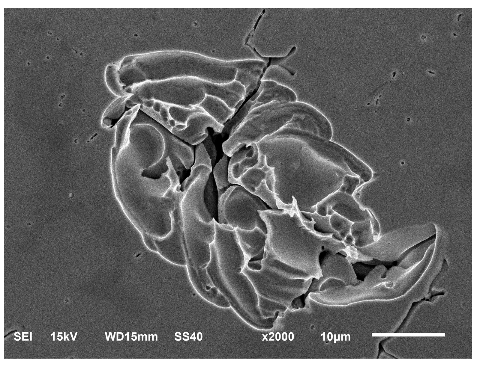 Materials 16 03617 g007