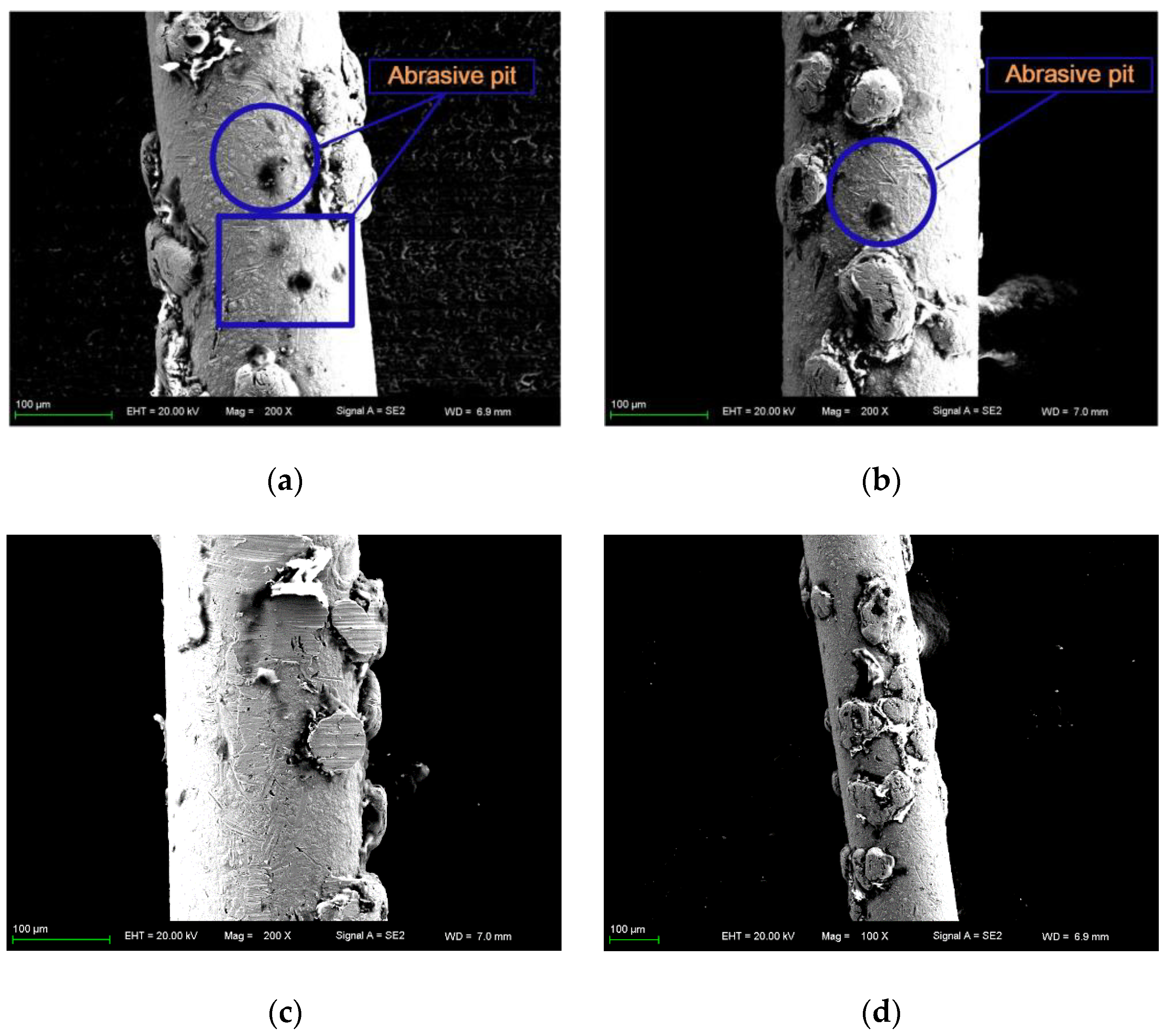 Materials 16 03619 g008
