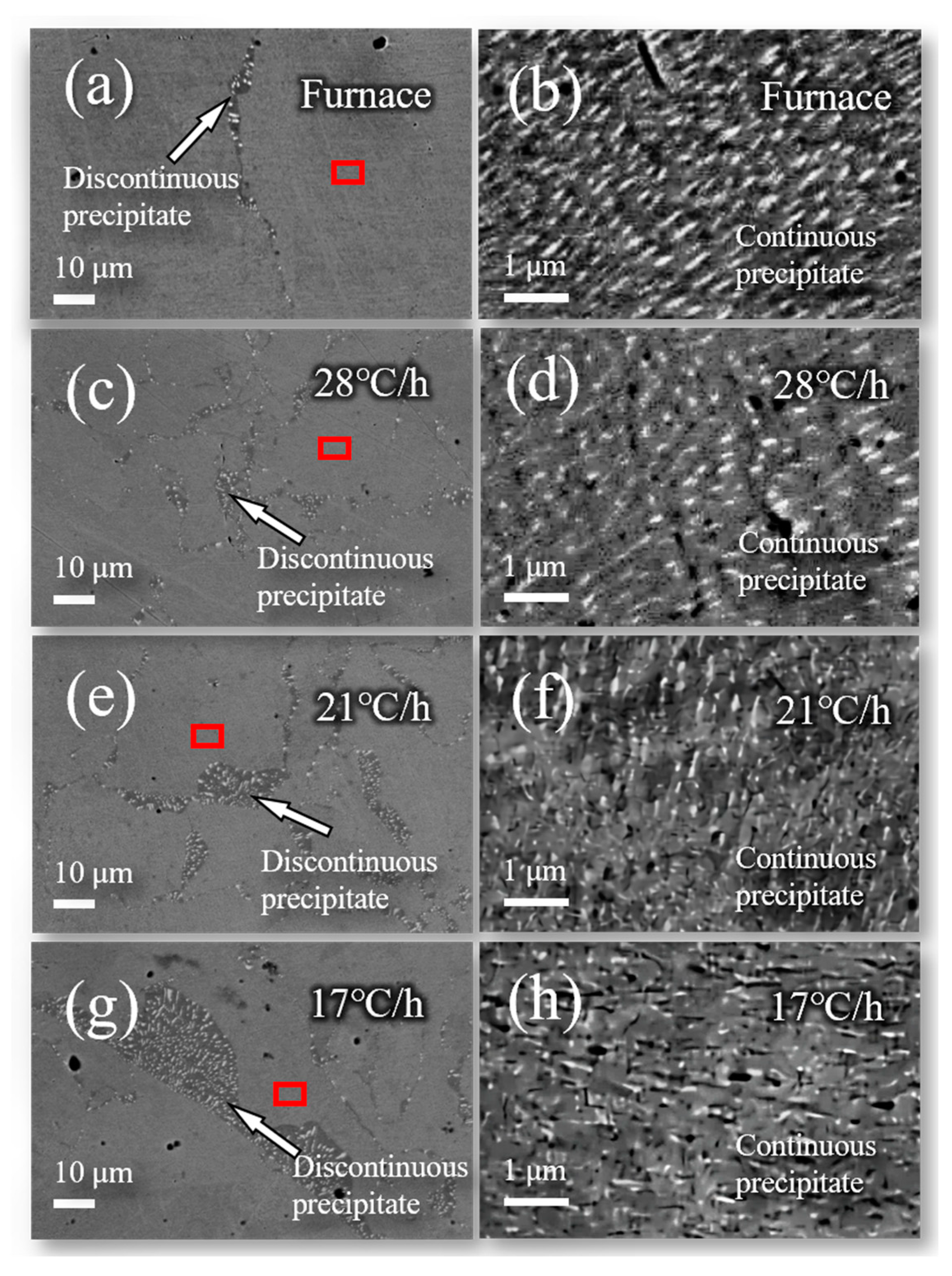 Materials 16 03632 g002 Materials 16 03632 g002
