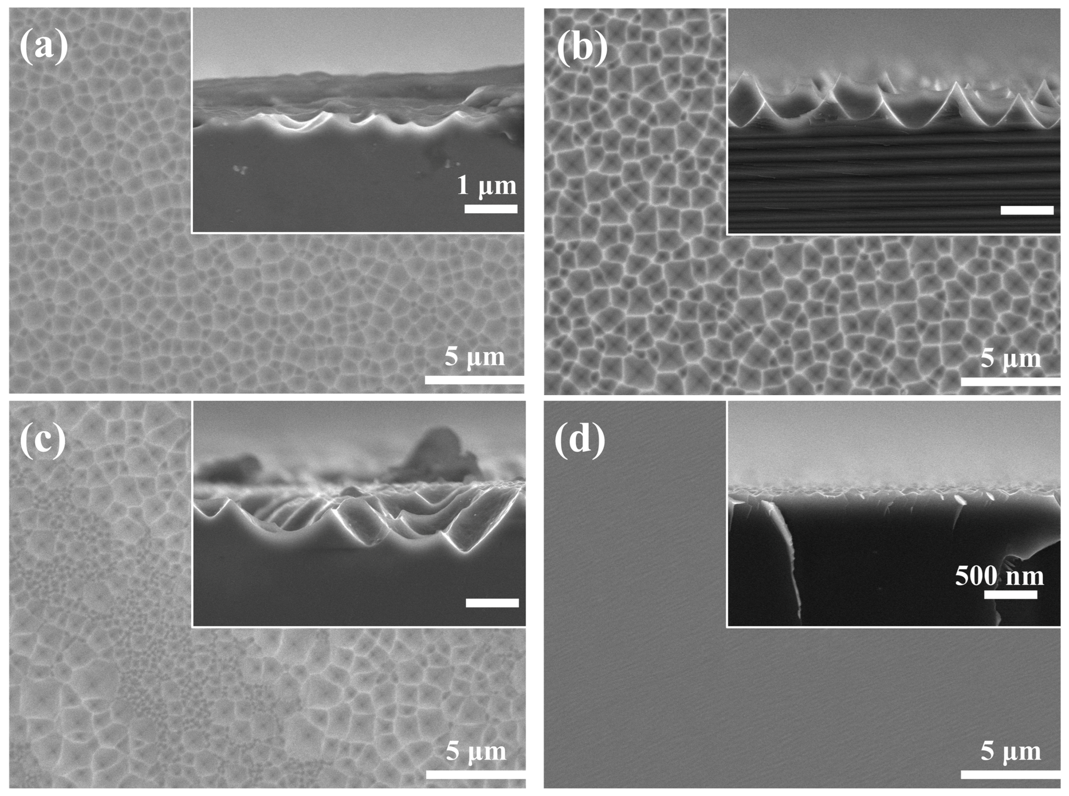 Materials 16 03634 g002