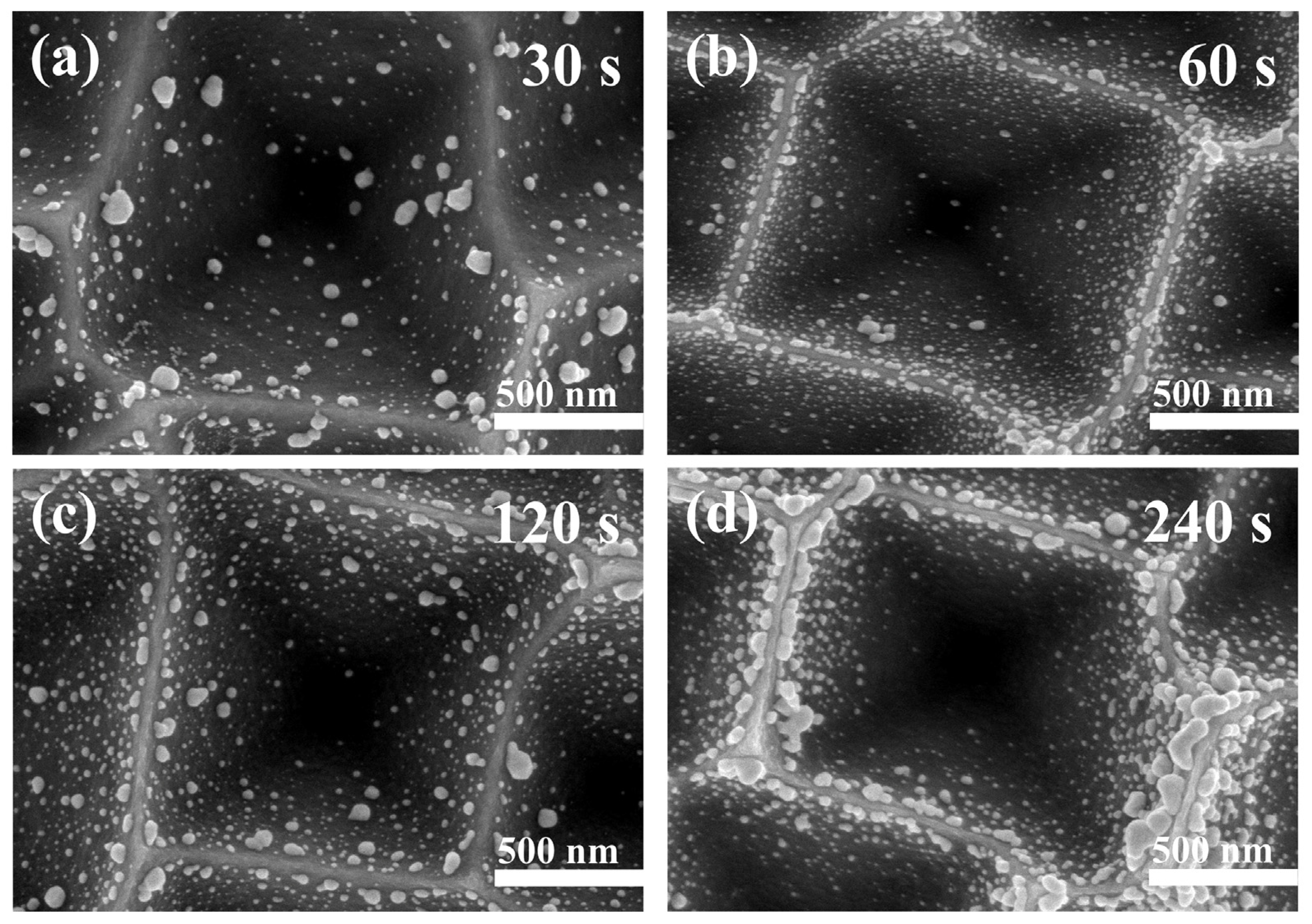 Materials 16 03634 g008