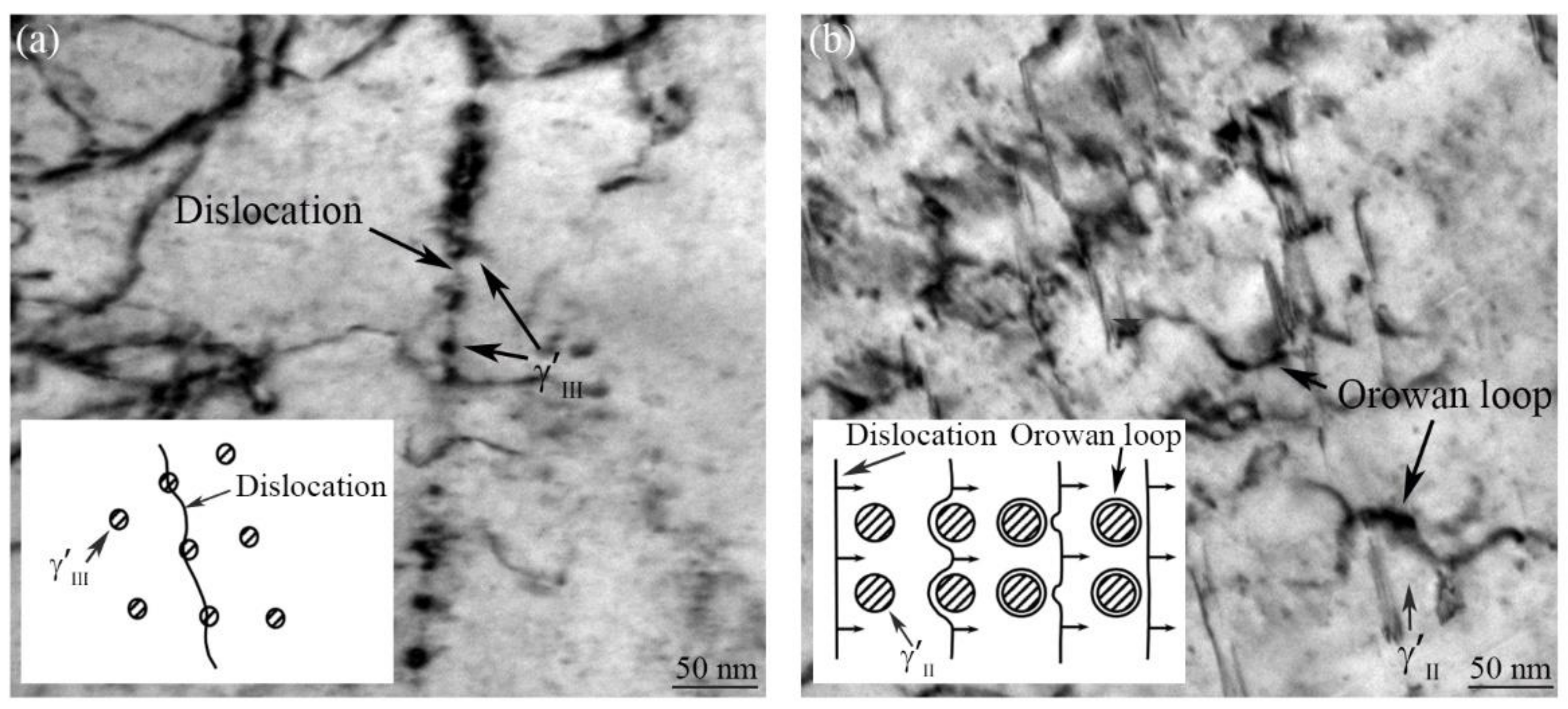 Materials 16 03639 g007