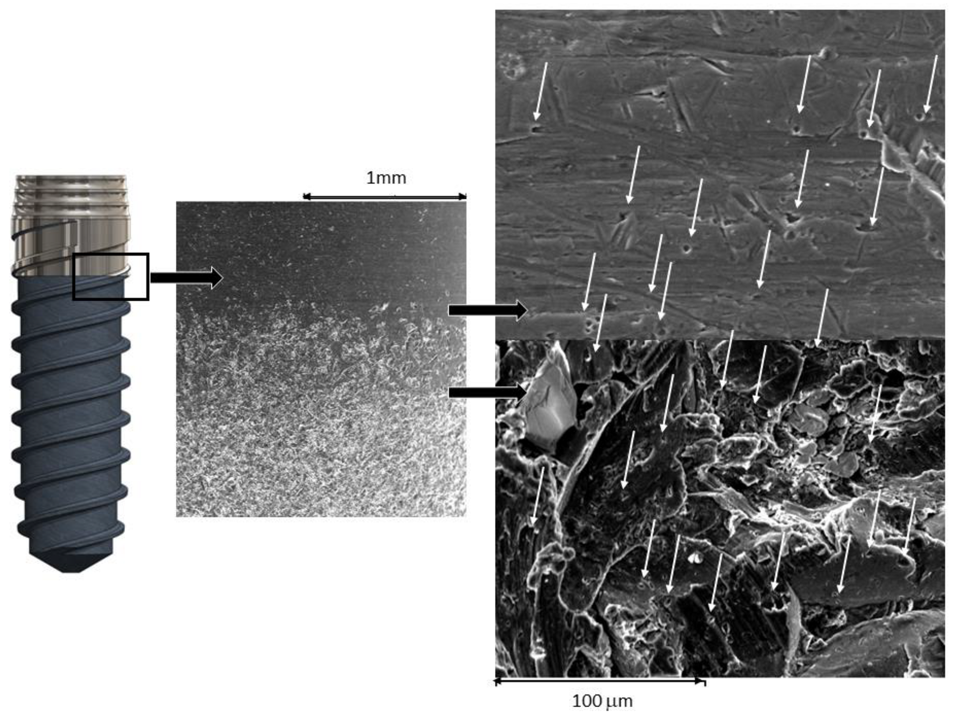 Materials 16 03650 g006