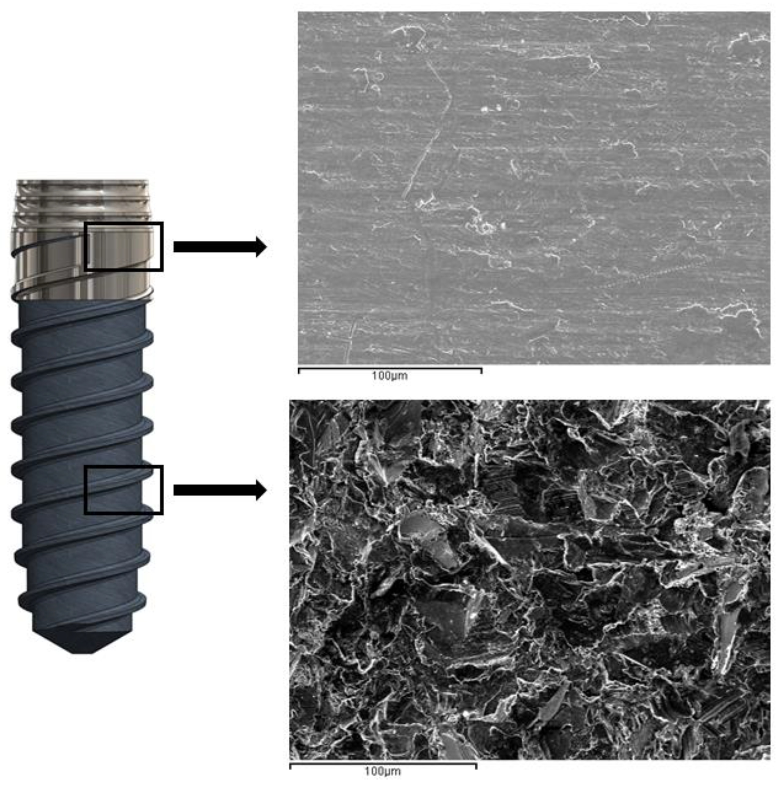 Materials 16 03650 g007