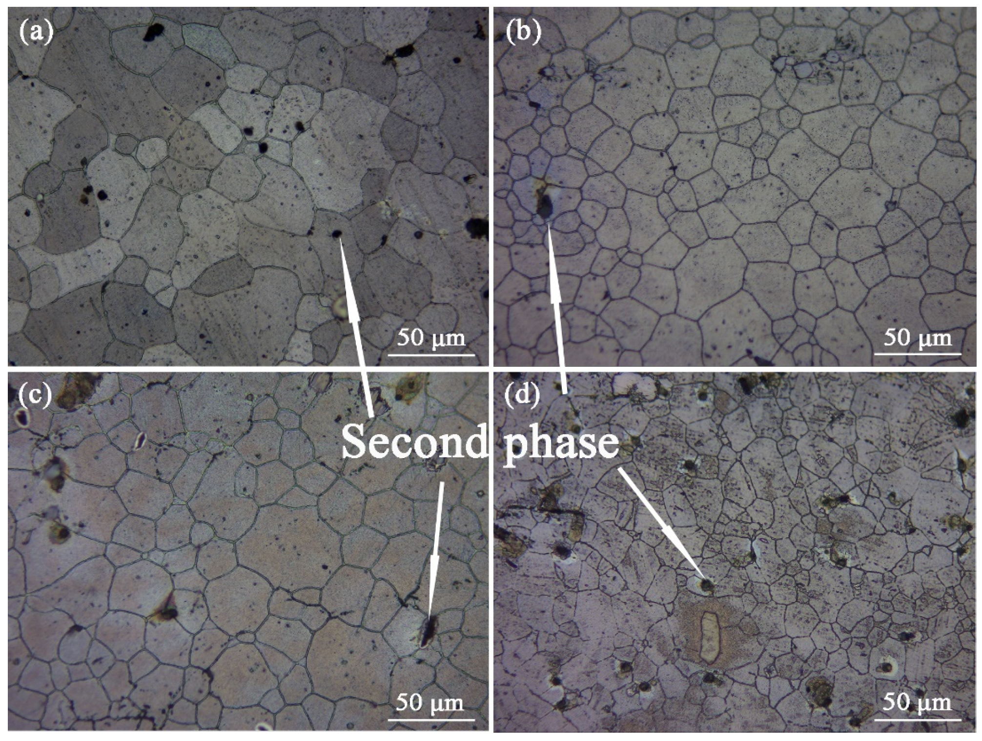 Materials 16 03664 g012 Materials 16 03664 g012