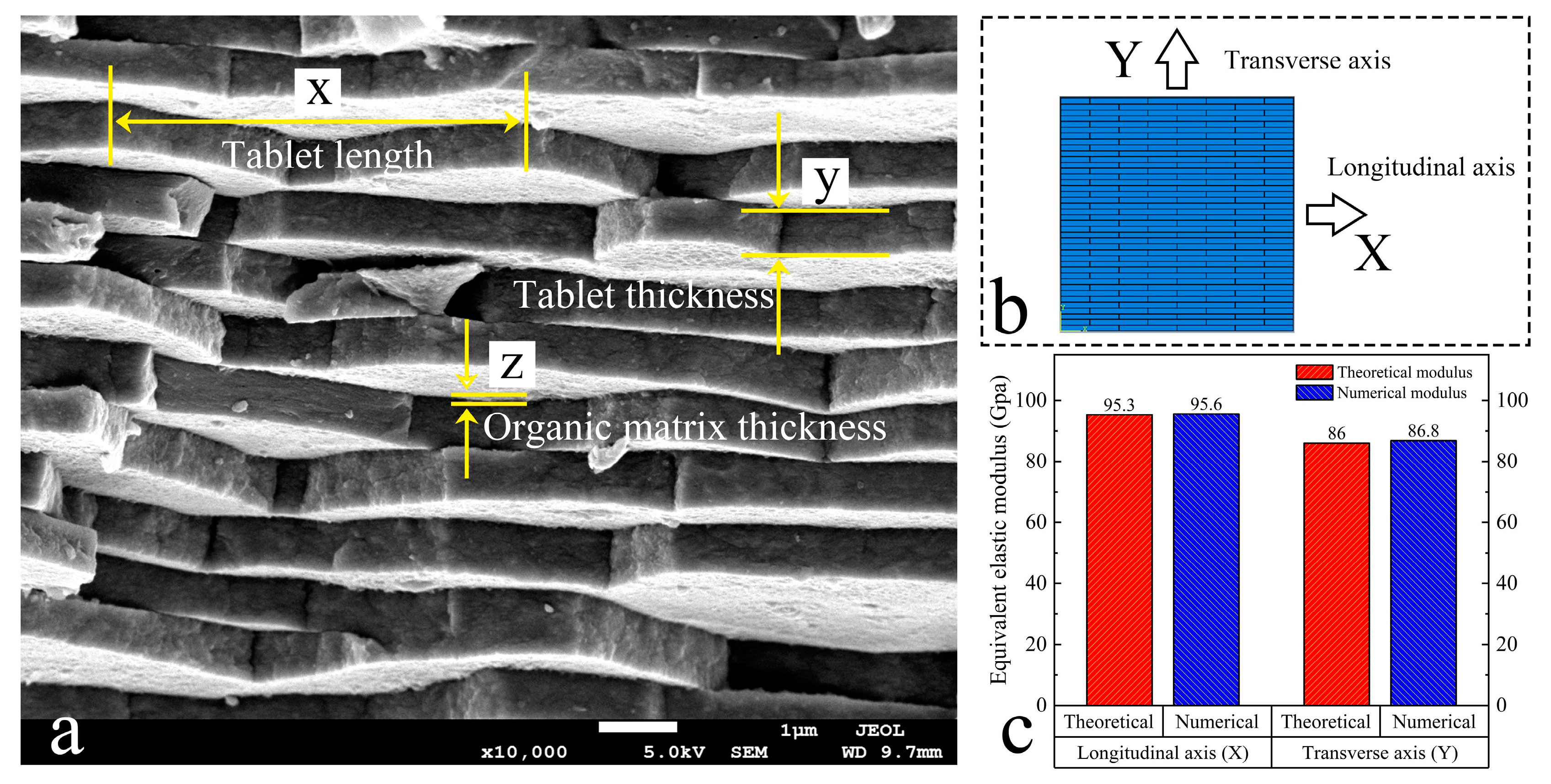 Materials 16 03699 g003