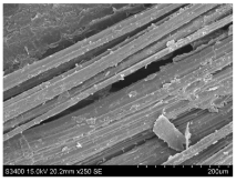 Materials 16 03752 i004 Materials 16 03752 i004