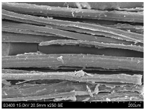 Materials 16 03752 i009 Materials 16 03752 i009