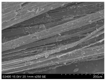 Materials 16 03752 i011 Materials 16 03752 i011