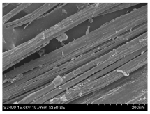 Materials 16 03752 i016 Materials 16 03752 i016