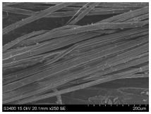 Materials 16 03752 i017 Materials 16 03752 i017