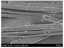 Materials 16 03752 i024 Materials 16 03752 i024