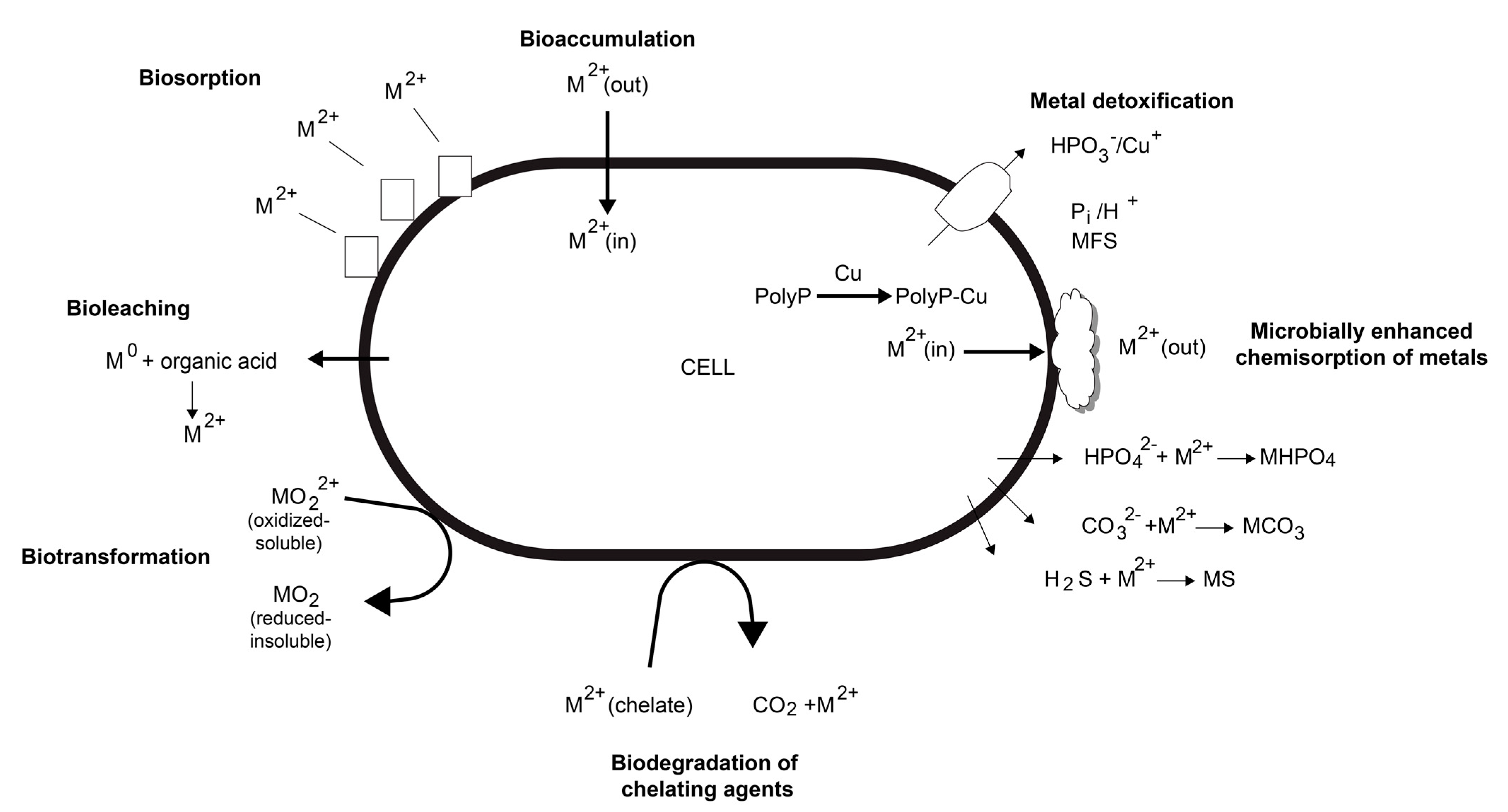 Materials 16 03812 g002 Materials 16 03812 g002
