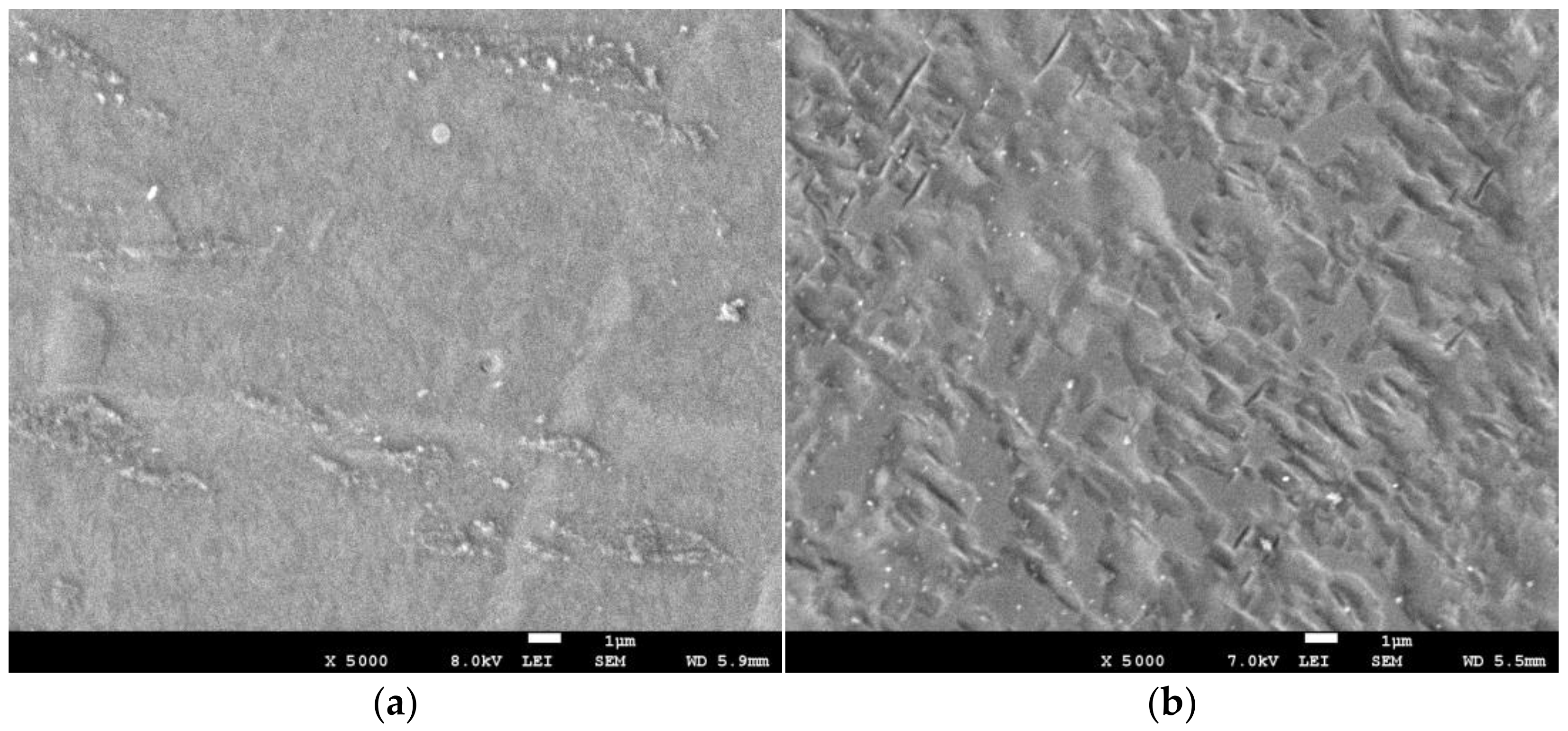 Materials 16 03837 g003a