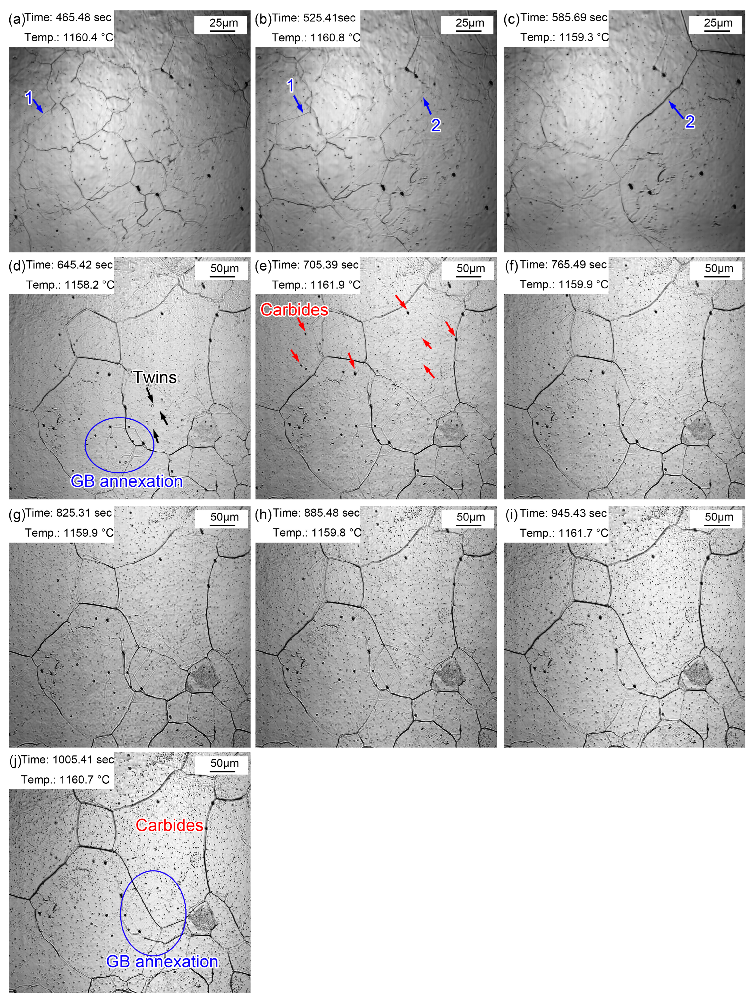 Materials 16 03840 g008 Materials 16 03840 g008