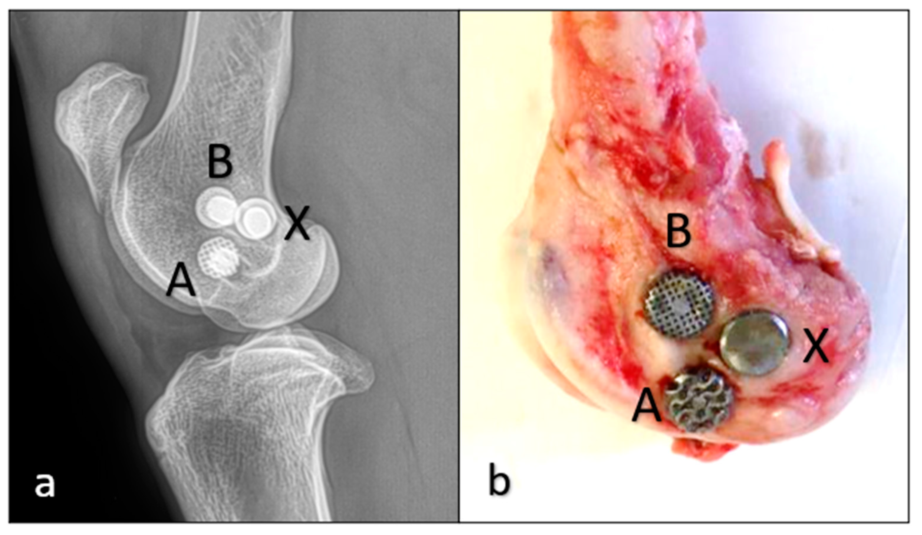 Materials 16 03861 g002