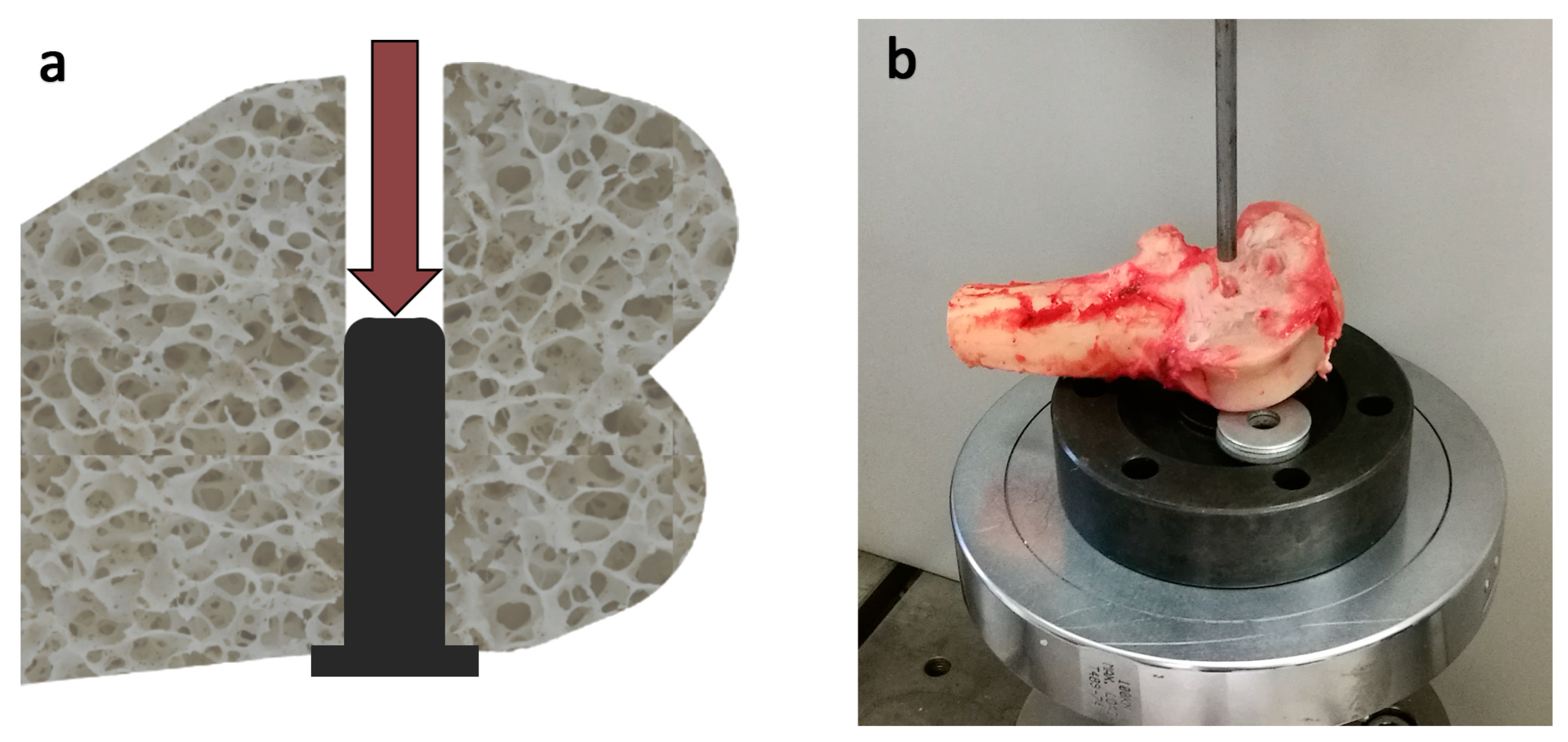 Materials 16 03861 g004