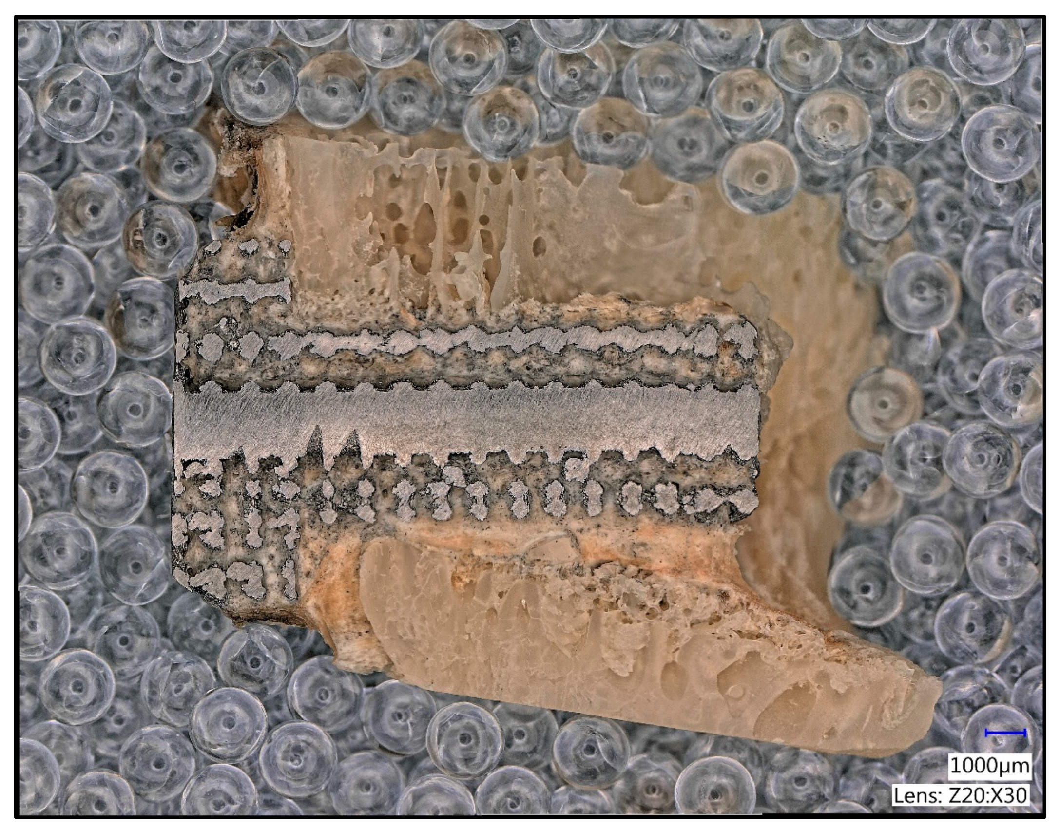 Materials 16 03861 g005