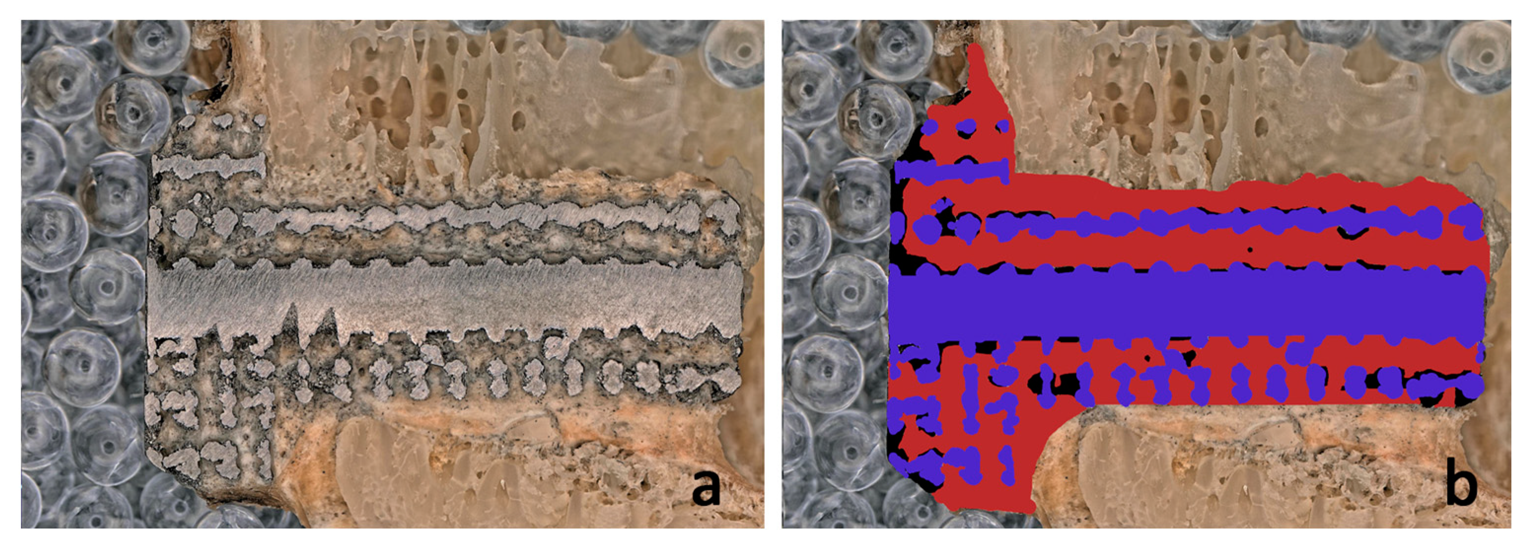 Materials 16 03861 g008