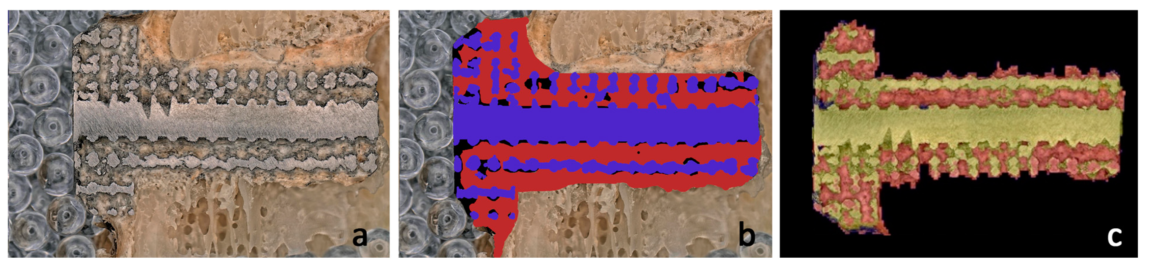 Materials 16 03861 g010