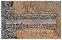 Materials 16 03861 i001