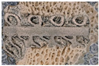 Materials 16 03861 i002