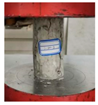 Materials 16 03878 i005