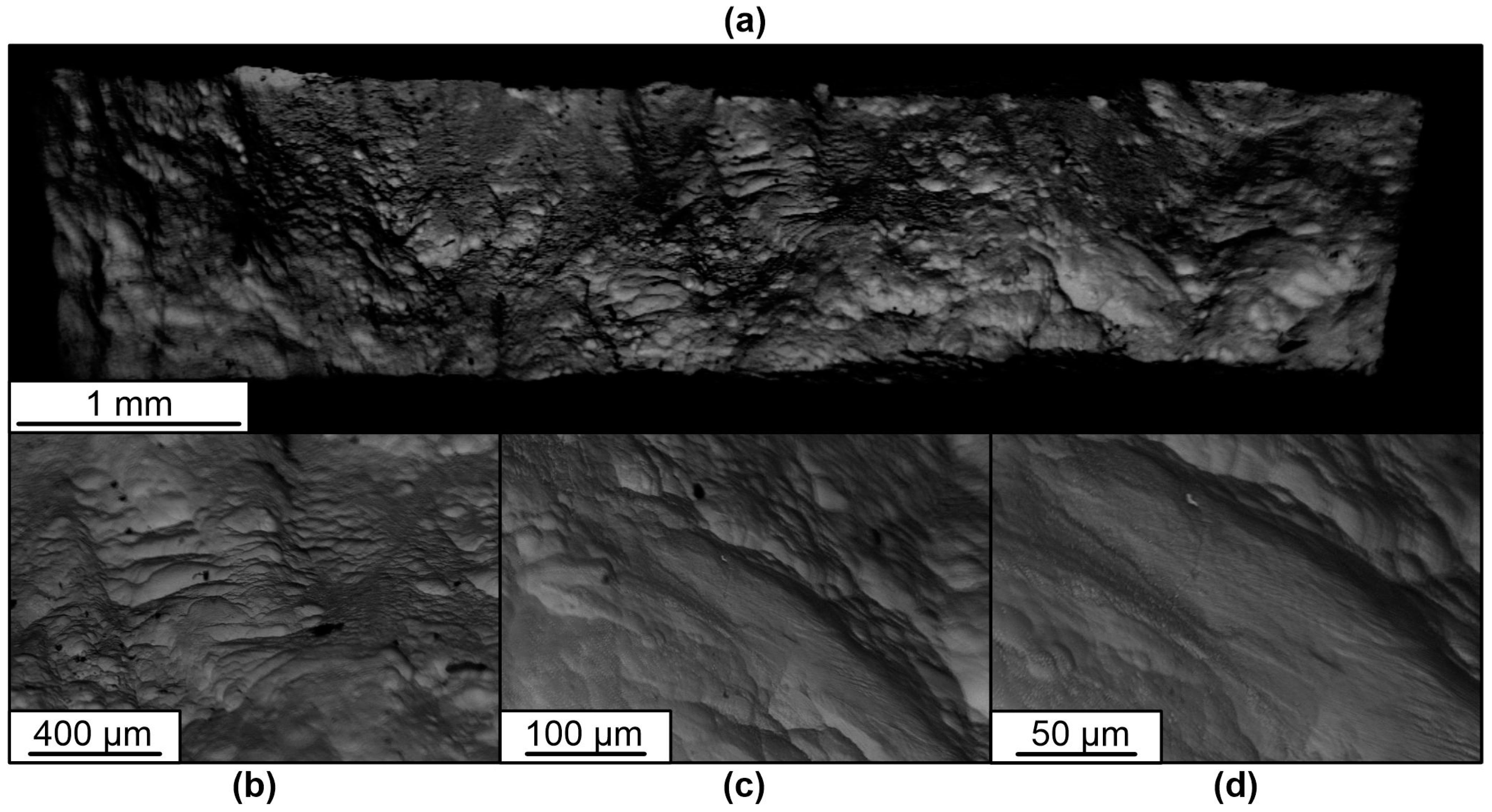 Materials 16 03901 g019