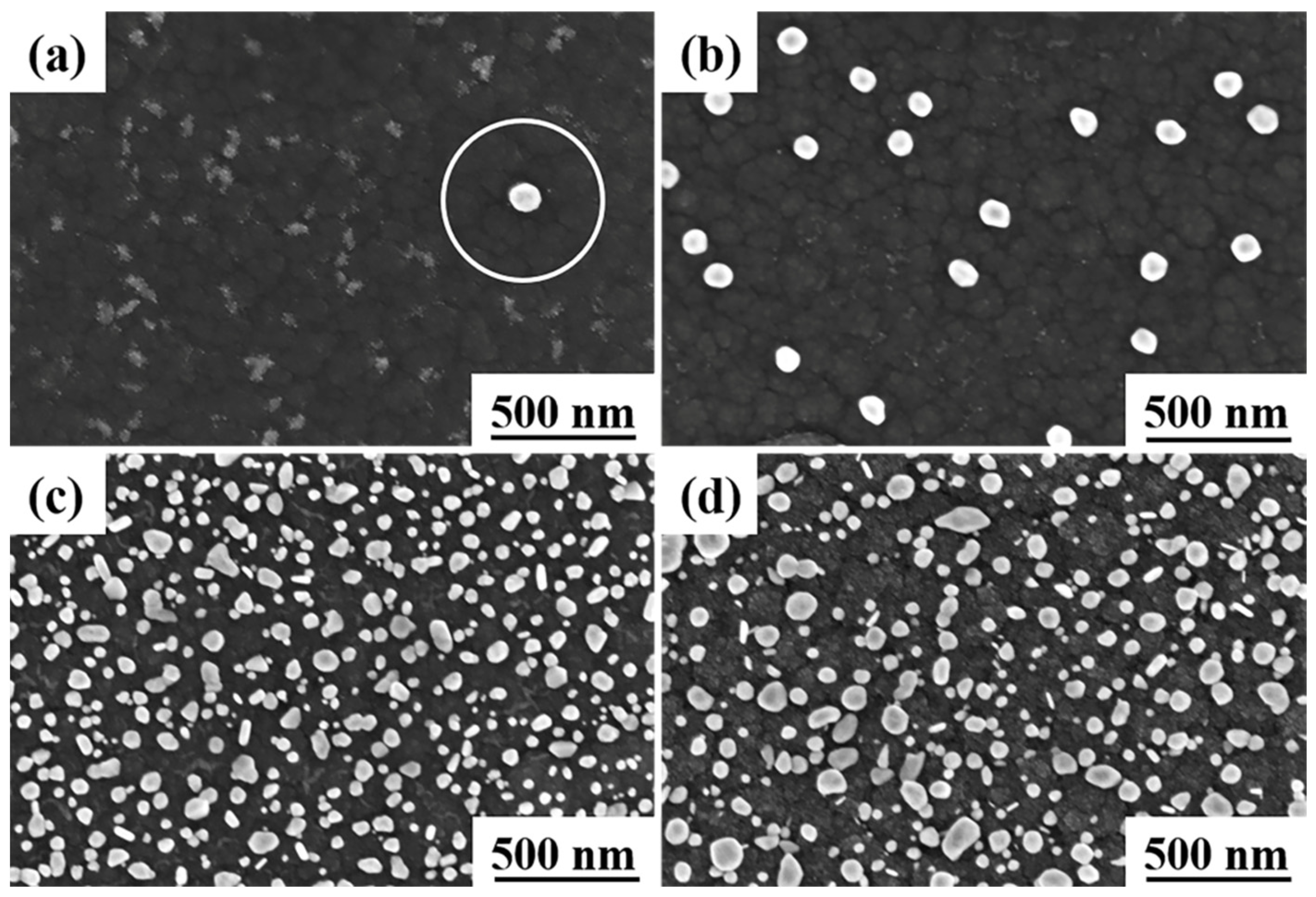 Materials 16 03909 g001 Materials 16 03909 g001