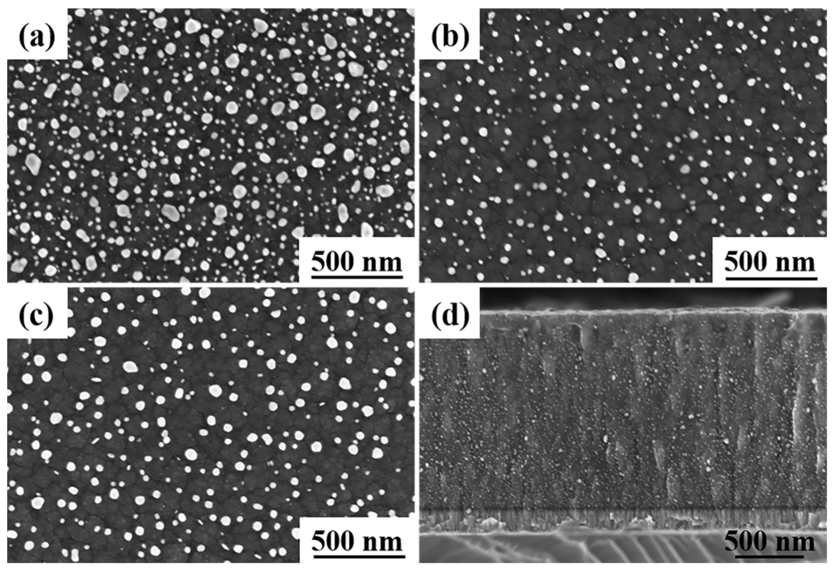 Materials 16 03909 g004 Materials 16 03909 g004