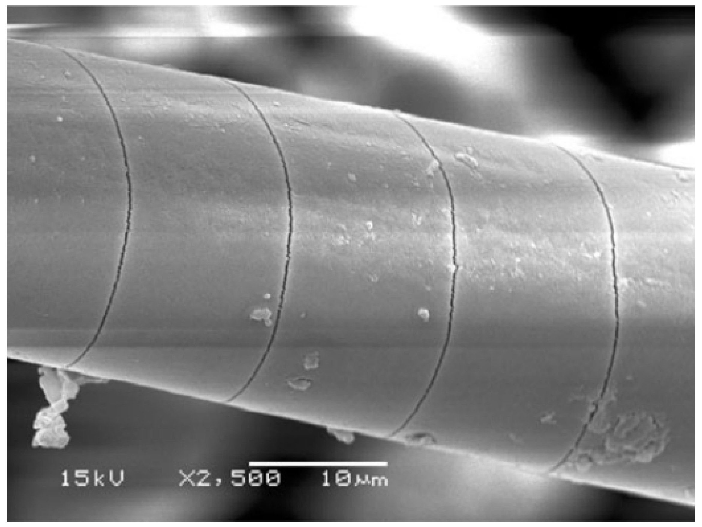 Materials 16 03913 g006