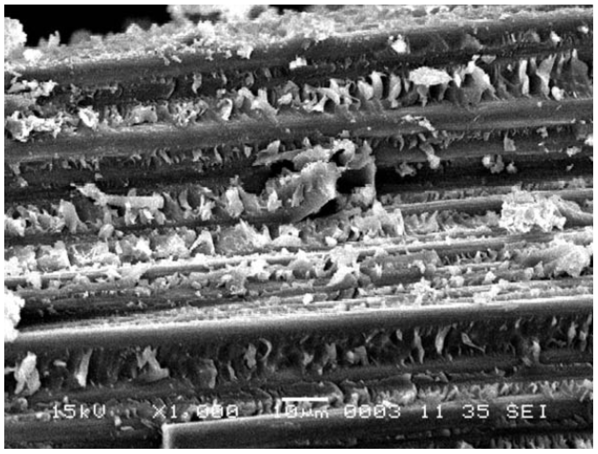 Materials 16 03913 g013