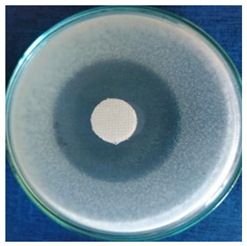 Materials 16 03924 i001 Materials 16 03924 i001