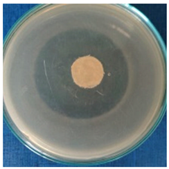 Materials 16 03924 i002 Materials 16 03924 i002