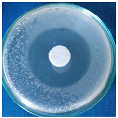 Materials 16 03924 i003 Materials 16 03924 i003