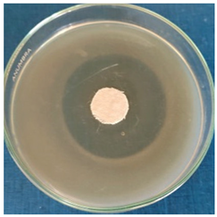 Materials 16 03924 i004 Materials 16 03924 i004