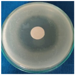 Materials 16 03924 i005 Materials 16 03924 i005