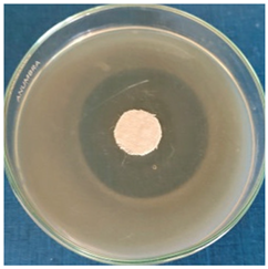 Materials 16 03924 i006 Materials 16 03924 i006