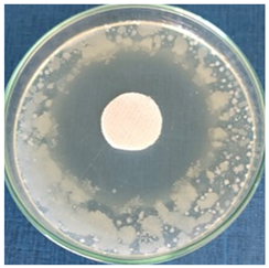 Materials 16 03924 i007 Materials 16 03924 i007