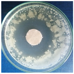 Materials 16 03924 i008 Materials 16 03924 i008