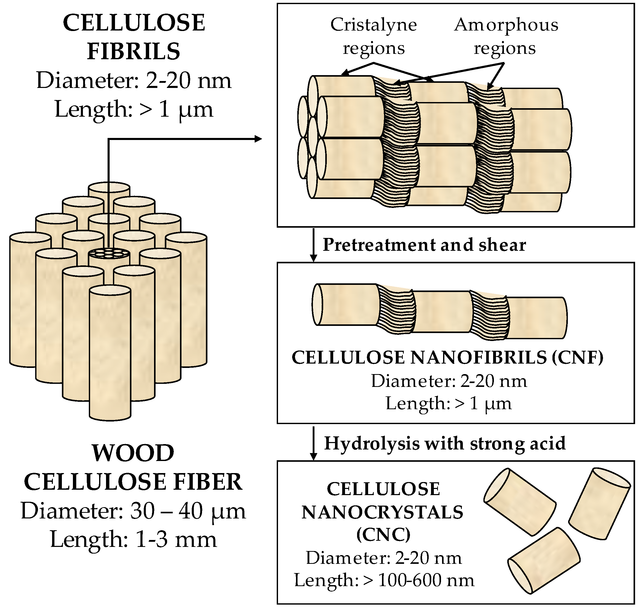 Materials 16 03940 g005