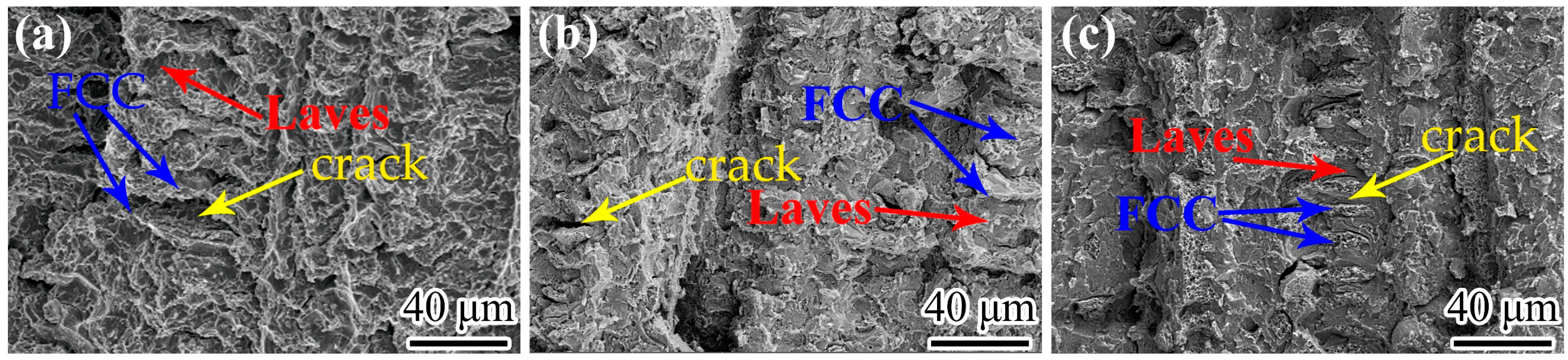 Materials 16 03987 g010