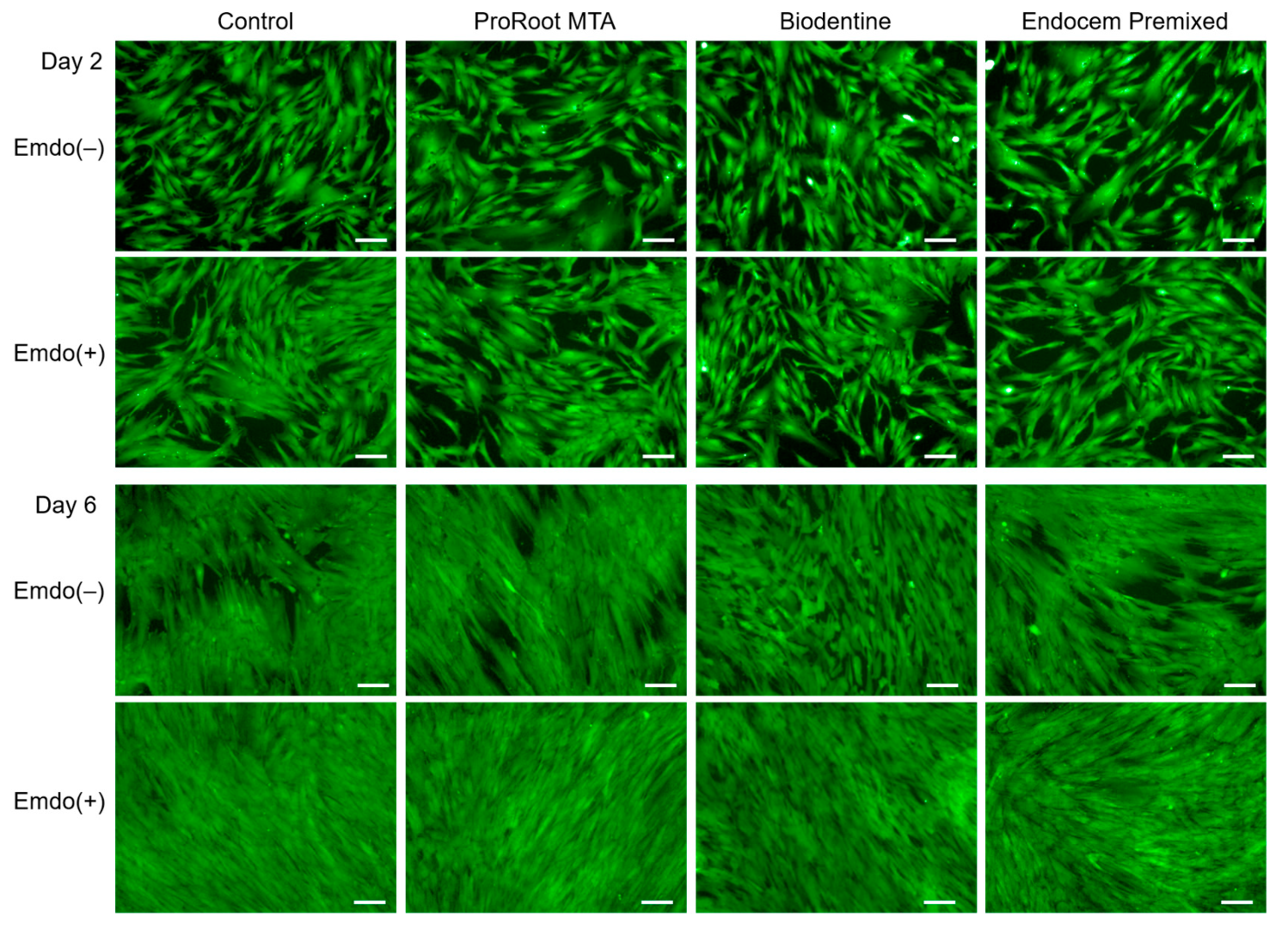 Materials 16 04003 g002