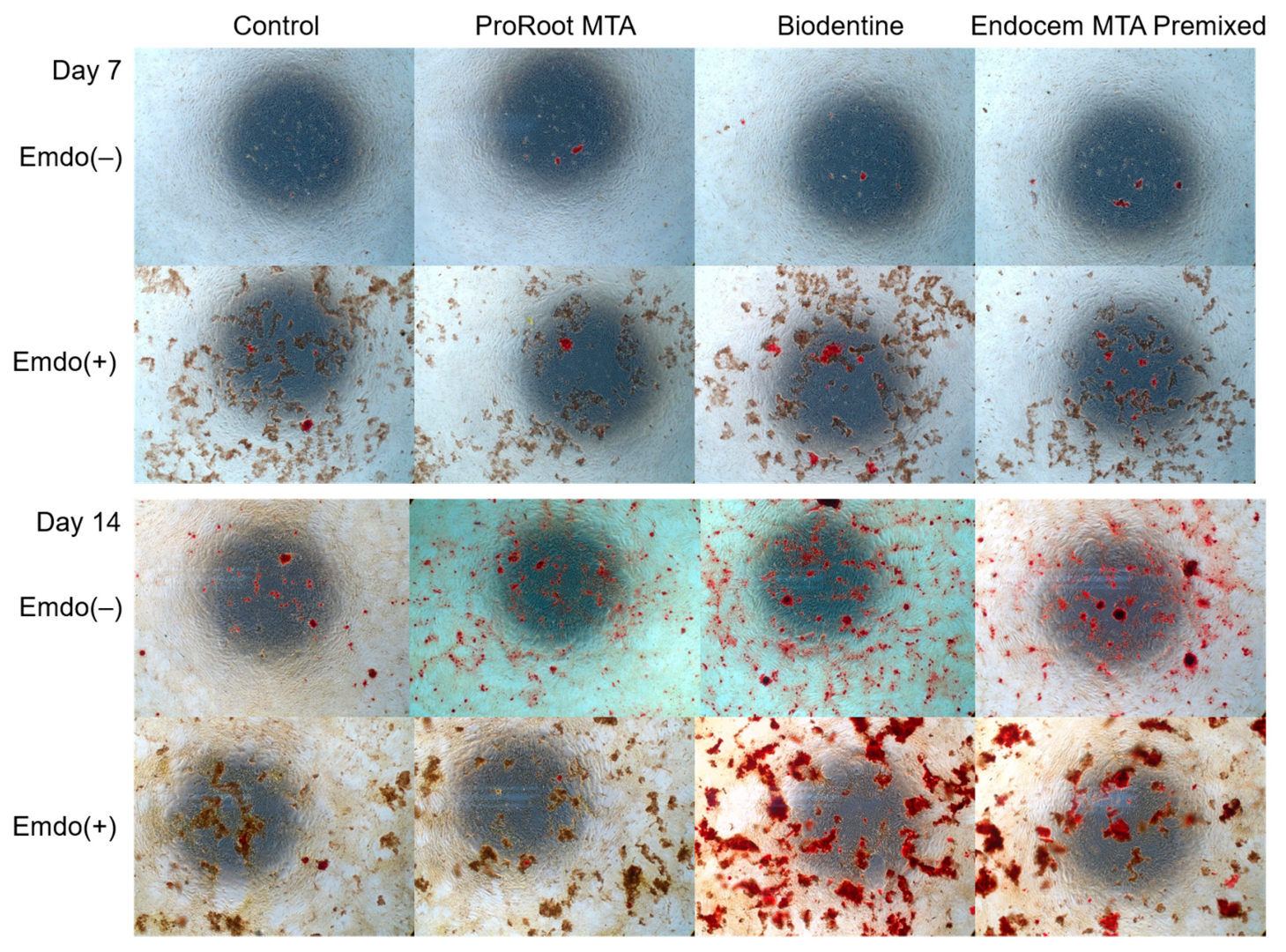 Materials 16 04003 g006